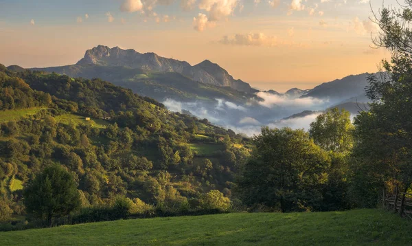 Qué ver cerca de mí en Asturias