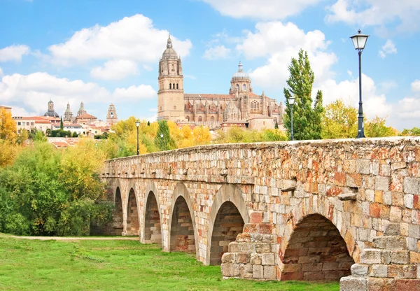 Qué ver cerca de mí en Salamanca